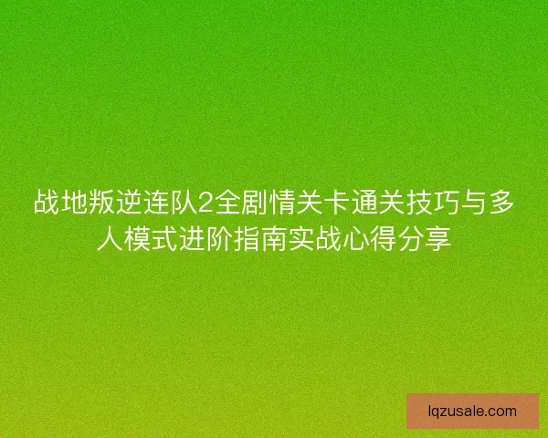 战地叛逆连队2全剧情关卡通关技巧与多人模式进阶指南实战心得分享